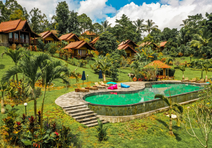 Bali Palms Tabanan Regency Indonesia Best Price Guarantee Bali Palms Tabanan Regency Indonesia Best Price Guarantee