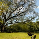 WAO JUNGLE HOTEL