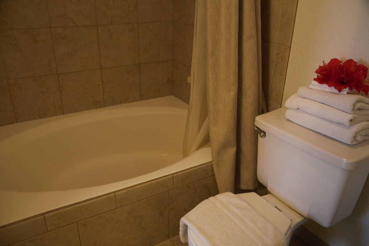 Little Saigon Inn — photo 8 of 15