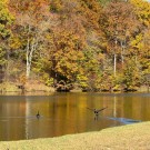 Skyline Resort at Seneca Lake