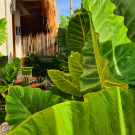 Luna Tres Homestay