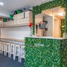 Tequila sunrise Potts Point Hostel