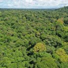 Chilamate Rainforest Eco Retreat