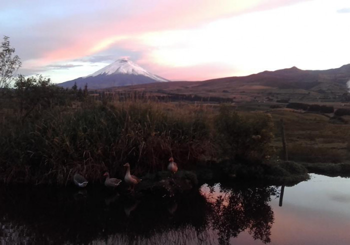 the secret garden cotopaxi overlooking cotopaxi national park ecuador best price guarantee